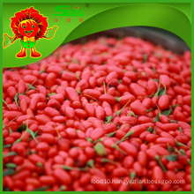 Chinese supplier of goji berry dried wolfberry